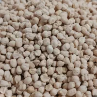 نخود محلی سرحد درجه یک خوش پخت و خوش مزه.