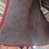 جل اسب نه وگ درحد نو