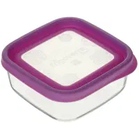 ظرف نگهدارنده فریگور