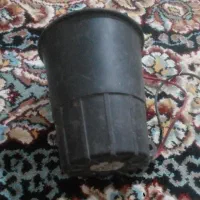 آژیر  دوزدگیر ماشین