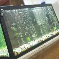 آکواریوم بزرگ و شیک