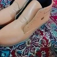 کفش مردانه|کیف، کفش، کمربند|زابل, |دیوار