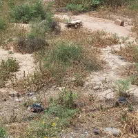زمین-مسکونی-شهرک-دانیال-املاک-نوین-کده