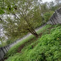 زمین ۳۳۰m تهران رشت قاضیان کچا سراوان جوکلبندان