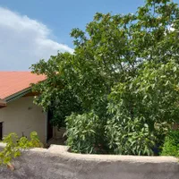 خونه باغ تنگه واشی/سند/جواز/برق/مدارک تکمیل|فروش دفتر صنعتی، کشاورزی، تجاری|فیروزکوه, |دیوار