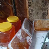 عسل طبیعی درجه یک به شرط ازمایش و مرجوع|خوردنی و آشامیدنی|تهران, جنت‌آباد جنوبی|دیوار