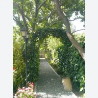 استخدام نگهبان باغ