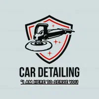 دیتیلینگ علی با بهترین قیمت به صورت چکی