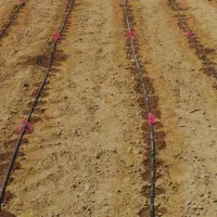 فروش ویژه نوارتیپ 9 تا 9/5 کیلویی تضمینی مواد نو|فروشگاه و مغازه|بهبهان, |دیوار