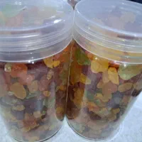 نبات قالبی|خوردنی و آشامیدنی|تهران, امیریه|دیوار