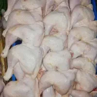 سفارش عمده|خوردنی و آشامیدنی|دهدشت, |دیوار