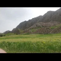 فروش خونه باغ درقلب بخش ارم|فروش خانه و ویلا|ارم, |دیوار