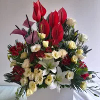 گل خواستگاری