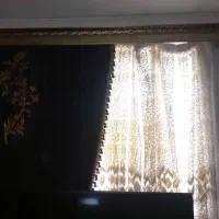 پرده پذیرایی مخملی و پرده اتاق زبرا