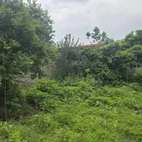 فروش زمین قابل ساخت و ساز (۲پلاک)|فروش زمین و ملک کلنگی|لشت نشا, |دیوار