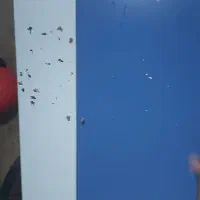 سرویس خواب پسرانه برند ارژن|تخت و سرویس خواب|شیراز, شهرک بزین|دیوار