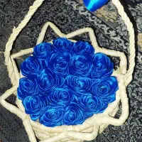 گل روبانی در رنگهای متنوع