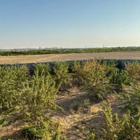 باغ ا ویلا شبستر|فروش خانه و ویلا|شبستر, |دیوار