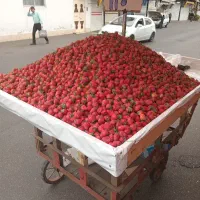 گاری سالم وتمیز