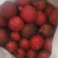 رب انار خالص وملس محصول باغ خودمون|خوردنی و آشامیدنی|رشت, چله خانه|دیوار