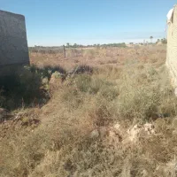 زمین|فروش زمین و ملک کلنگی|خرمشهر, |دیوار