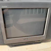 تلویزیون و سبد رو سینکی|تلویزیون و پروژکتور|کلاله, |دیوار