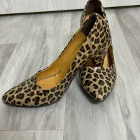 کفش پلنگی|کیف، کفش، کمربند|ملایر, |دیوار