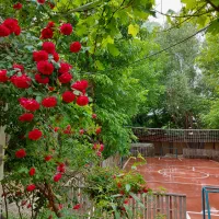 خانه باغ بانو صحرا کردان داخل بافت سنددار|فروش خانه و ویلا|کوهسار (البرز), |دیوار