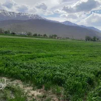 زمین مسکونی روستایی ریز(طرح هادی)