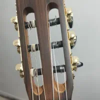 گیتار|گیتار، بیس، امپلیفایر|تهران, آذری|دیوار