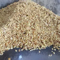 کارگاه سیر پوست کنی