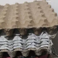 شانه تخم مرغ