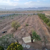 فروش  ملک دامداری