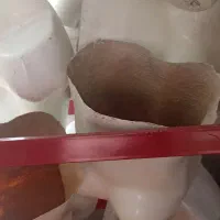 فروش تعدادی مانکن بالا تنه وتمام تنه وویترین|فروشگاه و مغازه|ایلام, |دیوار