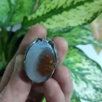 انگشتر شجر زیبای گل اناری|کلکسیون اشیاء عتیقه|رشت, عینک|دیوار