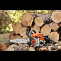 برش و خرید انواع چوب