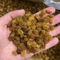 کشمش آفتابی پاک شده  کارتنی ۹ کیلویی|عمده‌فروشی|تاکستان, |دیوار