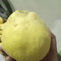 به ارگانیک درشت|خوردنی و آشامیدنی|سمنان, |دیوار