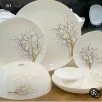 ارکوپال طرح درختی آکبند