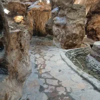 14-قصب-زمین-شرف-اباد-انتهای-کوچه-17