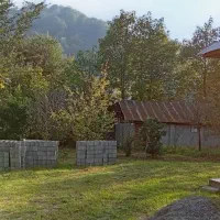 نگهداری و سریداری