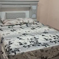 اجاره روزانه /ساعتی/سوئیت مرتب پاسخ دهی ۲۴ ساعته|اجارهٔ کوتاه‌مدت آپارتمان و سوئیت|مشهد, فرهنگ|دیوار