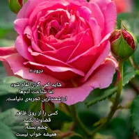 فروشندگی درجشنواره بادرود