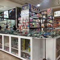 صندوقدار و سالنکار خانم