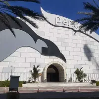 بلیت پارک برفی پنگوئن