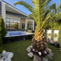فلت-نمامدرن-فول-هوشمند-سنددار-تاپ-لوکیشن-جنگلی