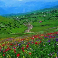 فروش زمین وانبارباپروانه تجاری