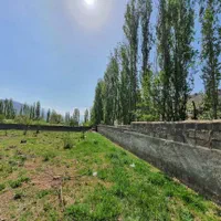 شش دانگ زمین چهار دیواری دشت مشا دماوند|فروش زمین و ملک کلنگی|آبعلی, |دیوار