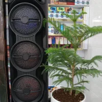 اسپیکر شارژی مدل۲۱۴۲|پخشکننده همراه|صدرا-فارس, فاز ۲|دیوار