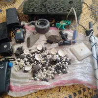 تعدادی لوازم اکباریوم سالم